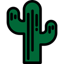 plant, nature, Dessert, Cactus, dry, Botanical Black icon