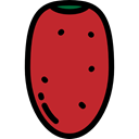 food, Fruit, Dessert, healthy, fresh, Food And Restaurant, Prickly Pear Icon