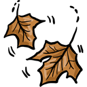 maple, autumn, Botanical, fall, Leaf, nature Black icon