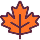 maple leaf, Botanical, plant, Leaf, nature, garden Tomato icon