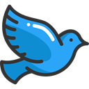 bird, Peace, Animals, dove, pigeon DodgerBlue icon