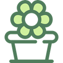 blossom, Botanical, Flower, nature, garden, pot DimGray icon