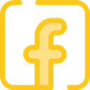 Logo, Facebook, social media, social network, logotype, Logos, Brands And Logotypes Gold icon