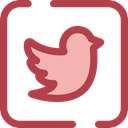 Logo, twitter, social media, social network, logotype, Logos, Brands And Logotypes Sienna icon