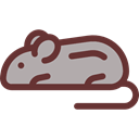 Mouse, Animals, rodent, Wild Life, Animal Kingdom Black icon