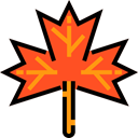 plant, Leaf, nature, garden, maple leaf, Botanical Black icon