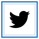 Social, media, Logo, twitter DodgerBlue icon