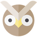 bird, hunter, owl, Animals RosyBrown icon