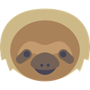 Animal, America, zoo, Animals, mammal, wild, wildlife, sloth Peru icon