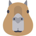 Animal, zoo, Animals, mammal, wild, wildlife, Capybara DarkKhaki icon