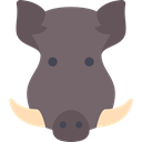 Animal, Animals, mammal, wild, wildlife, Savage, Boar DimGray icon