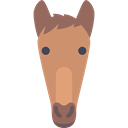 Animals, equine, mammal, horse Black icon