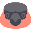 Animals, bullfinch, wild, wildlife, Animal, bird, zoo DimGray icon