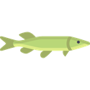 Animal, fish, Animals, Aquarium, wild, wildlife, Aquatic, Pike Black icon