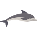 mammal, wild, wildlife, Aquatic, Animal, dolphin, Animals, Aquarium Black icon