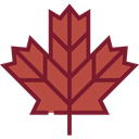 plant, fall, Leaf, nature, garden, season, maple leaf, autumn, Botanical Sienna icon