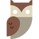 Animals, bird, hunter, owl Sienna icon