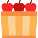 Apple, food, Fruit, organic, Apples, diet, vegetarian, vegan, Healthy Food, Food And Restaurant SandyBrown icon