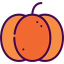 food, pumpkin, organic, diet, vegetarian, vegan, Healthy Food, Food And Restaurant Tomato icon