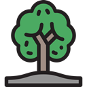 Tree, nature, garden, gardening, ecology, yard, Botanical Black icon