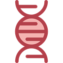 science, medical, education, Biology, dna, Deoxyribonucleic Acid, Dna Structure, Genetical Icon