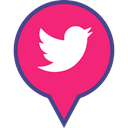 pin, Social, media, Logo, twitter DeepPink icon