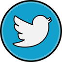 media, twitter, Social LightSeaGreen icon