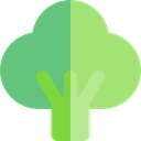 vegan, Broccoli, Healthy Food, Food And Restaurant, food, Supermarket, vegetable, vegetables, Foods, vegetarian LightGreen icon