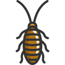 bug, insect, Animals, cockroach, Animal Kingdom Black icon
