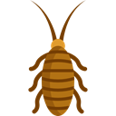 bug, insect, Animals, cockroach, Animal Kingdom Icon