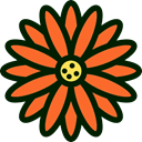 Flower, nature, petals, blossom, Botanical Tomato icon