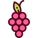 food, Fruit, fruits, Berries, grape, Berry, Grapes, Bouquet, Food And Restaurant Icon