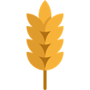 food, branch, nature, leaves, Barley, Wheat, Food And Restaurant Black icon