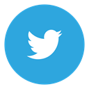 twitter, Social DodgerBlue icon