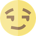 Smileys, cool, emoticons, Emoji, feelings Khaki icon