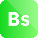 Format, Bs, Extension, File, Pl, bs icon LimeGreen icon