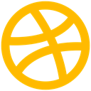dribbble, Brand, logo icon Orange icon