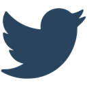 media, network, Connection, bird, Social, tweet, twitter icon DarkSlateGray icon