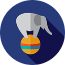 Fairground, Animals, Circus, mammal, carnival, Animal, elephant, zoo DarkSlateBlue icon