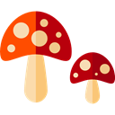 food, Mushroom, nature, Fungi, Muscaria, Cultures Black icon