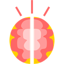 Brain Salmon icon