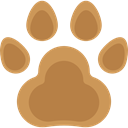 Cat, Animal, dog, zoo, Animals, Pawprint Peru icon