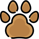 Cat, Animal, dog, zoo, Animals, Pawprint Peru icon