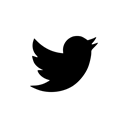 Logo, twitter, Social, media, Company Black icon