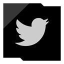 media, Logo, twitter, Social, Company Black icon