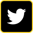 Social, media, online, twitter Black icon