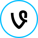 media, Logo, Social, Vine DeepSkyBlue icon