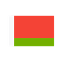 flag, Belarus, Country, Nation Icon