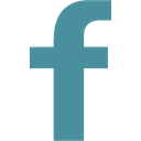network, Logo, Facebook, Social, Brand SteelBlue icon