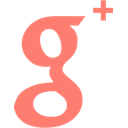 network, Brand, Logo, google, Social Salmon icon